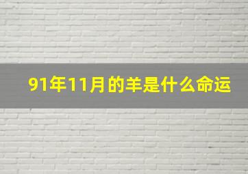 91年11月的羊是什么命运