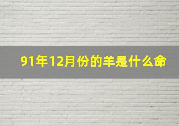 91年12月份的羊是什么命