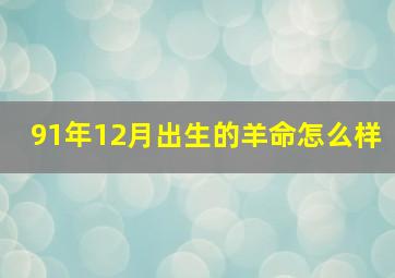 91年12月出生的羊命怎么样