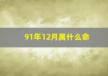 91年12月属什么命