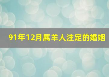 91年12月属羊人注定的婚姻