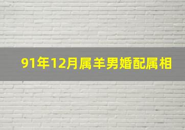 91年12月属羊男婚配属相