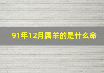 91年12月属羊的是什么命