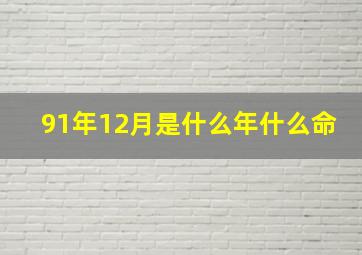 91年12月是什么年什么命