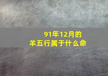 91年12月的羊五行属于什么命