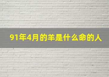 91年4月的羊是什么命的人