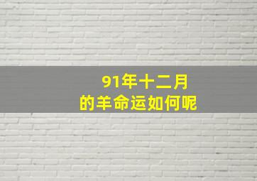 91年十二月的羊命运如何呢