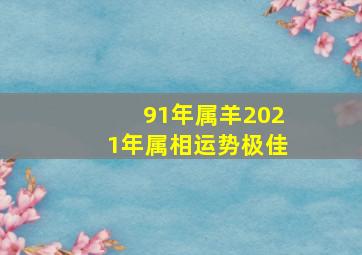 91年属羊2021年属相运势极佳