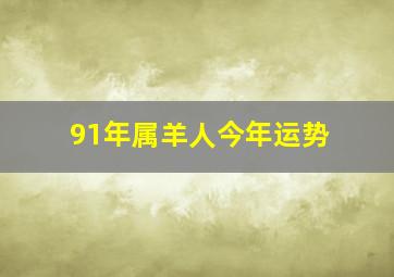 91年属羊人今年运势