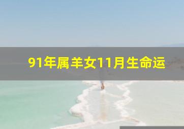 91年属羊女11月生命运