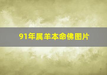 91年属羊本命佛图片