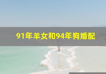 91年羊女和94年狗婚配