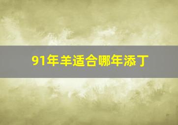 91年羊适合哪年添丁