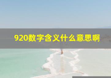 920数字含义什么意思啊