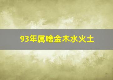 93年属啥金木水火土