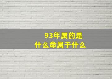 93年属的是什么命属于什么