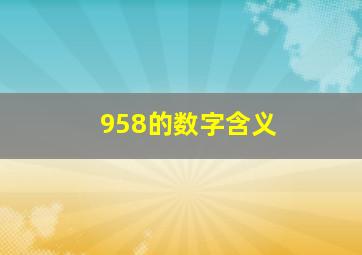 958的数字含义