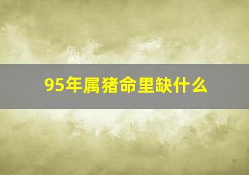 95年属猪命里缺什么