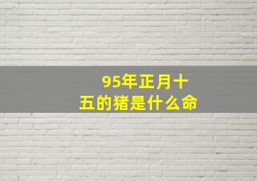 95年正月十五的猪是什么命