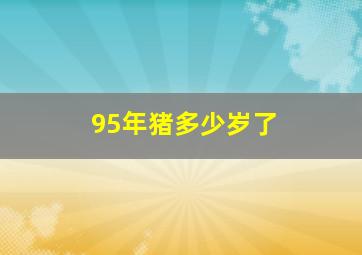 95年猪多少岁了