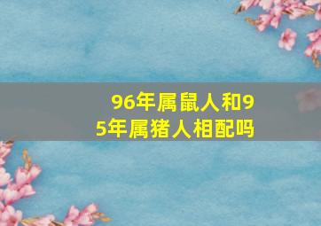 96年属鼠人和95年属猪人相配吗