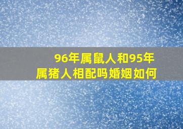 96年属鼠人和95年属猪人相配吗婚姻如何