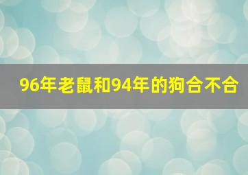 96年老鼠和94年的狗合不合