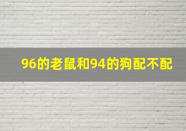 96的老鼠和94的狗配不配