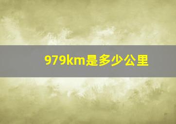 979km是多少公里