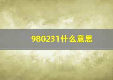 980231什么意思