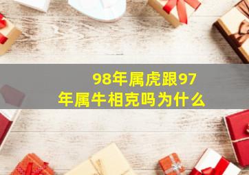 98年属虎跟97年属牛相克吗为什么