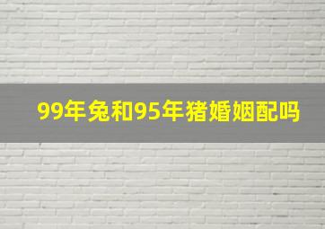 99年兔和95年猪婚姻配吗