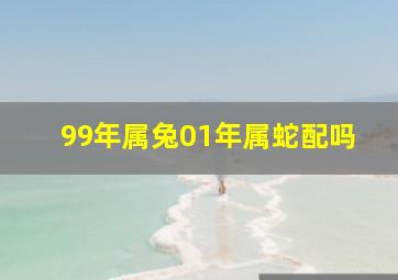 99年属兔01年属蛇配吗