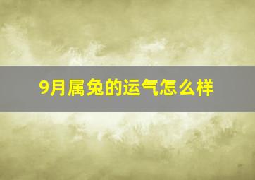 9月属兔的运气怎么样