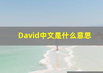 David中文是什么意思