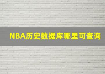 NBA历史数据库哪里可查询