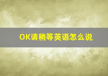 OK请稍等英语怎么说