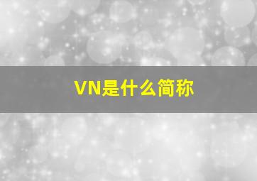 VN是什么简称