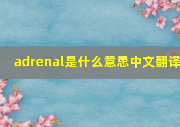 adrenal是什么意思中文翻译