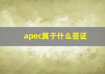 apec属于什么签证