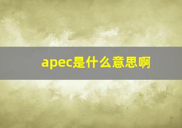 apec是什么意思啊