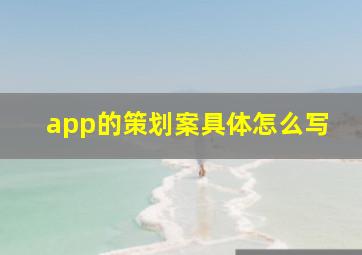 app的策划案具体怎么写