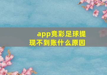 app竞彩足球提现不到账什么原因