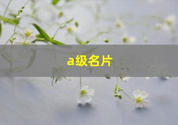 a级名片