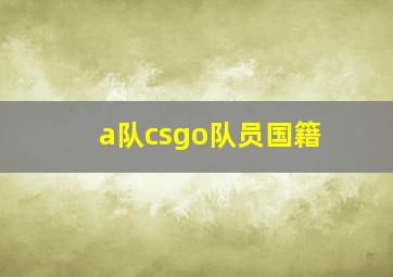 a队csgo队员国籍