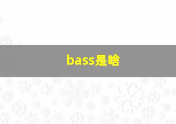 bass是啥