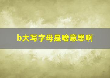 b大写字母是啥意思啊