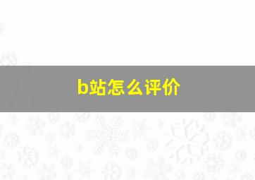 b站怎么评价