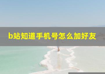 b站知道手机号怎么加好友