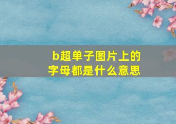 b超单子图片上的字母都是什么意思